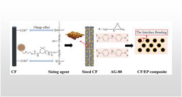 自组装纳米聚合物改性水性施胶剂增强碳纤维/环氧树脂复合材料双界面性能,Composites Part B: Engineering - X-MOL