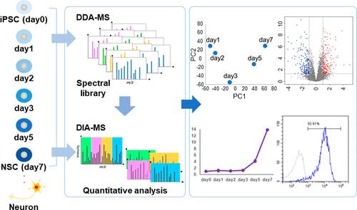 Quantitative Proteomics For The Development And Manufacturing Of Human