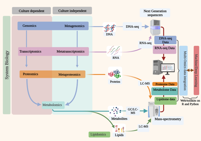 ‘Multi-omics’ data integration: applications in probiotics studies,npj ...