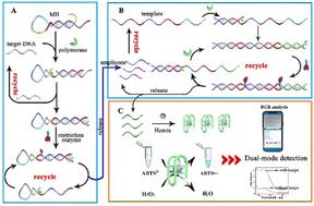 Target-switched Artificial Biochemical Circuit For A Versatile And ...