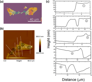 α-In2Se3 纳米片的机械剥离菱面体(3R) 结构特征,Electronic Materials