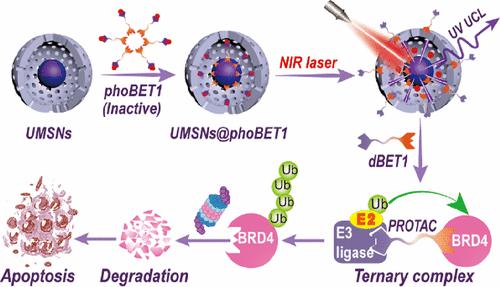 Near-Infrared-Activatable PROTAC Nanocages For Controllable Target ...