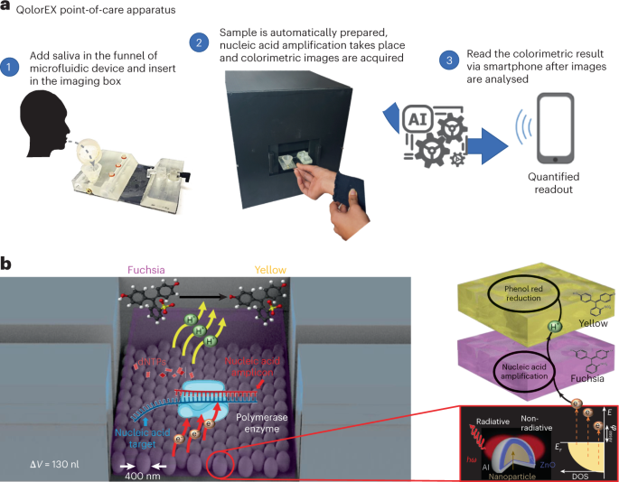 Nanoplasmonic Acceleration Of Nucleic Acid Amplification For Pathogen