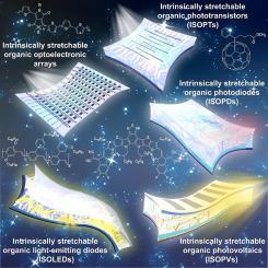 Intrinsically Stretchable Organic Optoelectronic Devices And Arrays ...