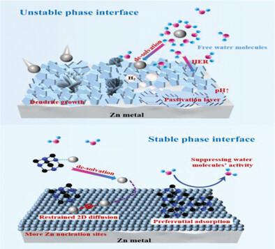 In Situ Construction Of Anodemolecule Interface Via Lone Pair