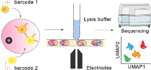 High-Throughput Screening Of Functional Neo-Antigens And Their Specific ...