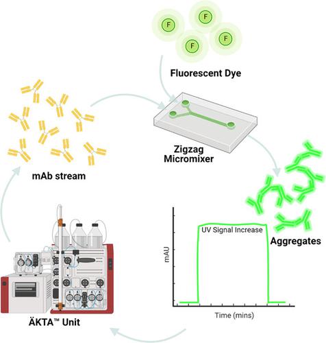 Real-time Detection Of MAb Aggregates In An Integrated Downstream ...