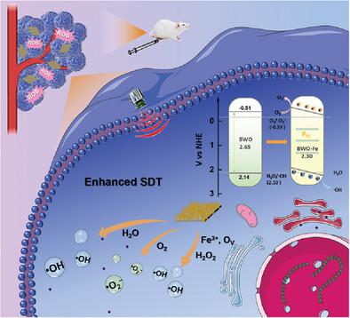 Enhanced Sonodynamic Cancer Therapy Through Iron-Doping And Oxygen ...