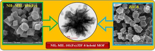 Synthesis Characterization And Selective Gas Adsorption Performance