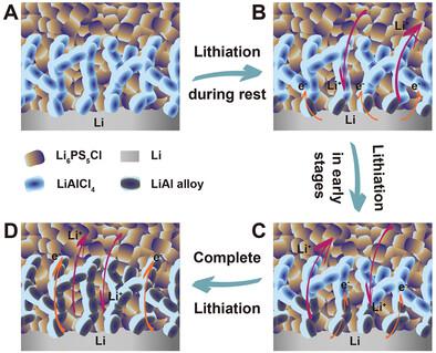 In Situ Constructed 3D Lithium Anodes For Long-Cycling All-Solid-State ...