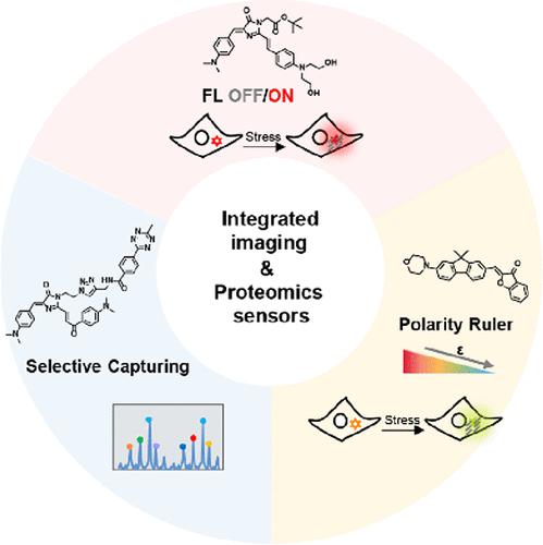 Integrated Imaging And Proteomic Sensors Resolve Proteome Aggregation