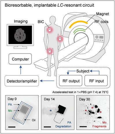 Implantable, Bioresorbable Radio Frequency Resonant Circuits For ...