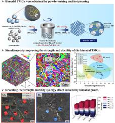 Evading The Strength And Ductility Trade-off Dilemma In Titanium Matrix ...