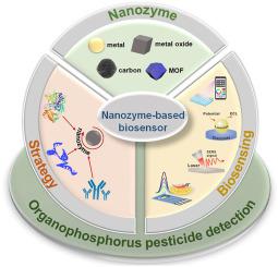 Nanozyme-based Biosensor For Organophosphorus Pesticide Monitoring ...