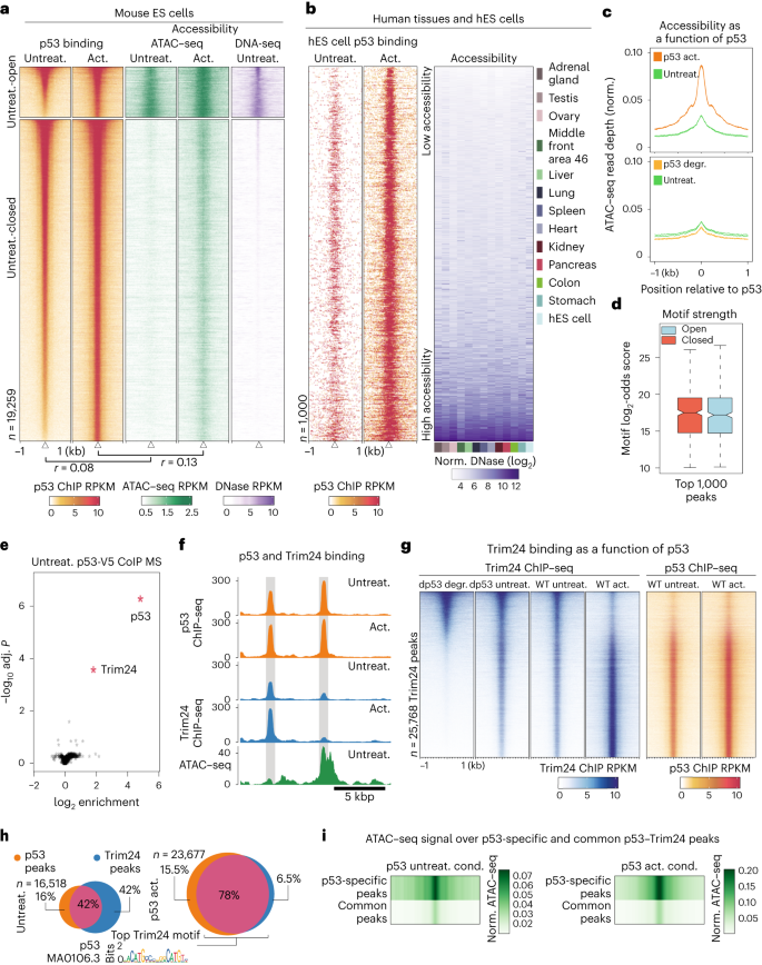 Readout Of Histone Methylation By Trim24 Locally Restricts Chromatin