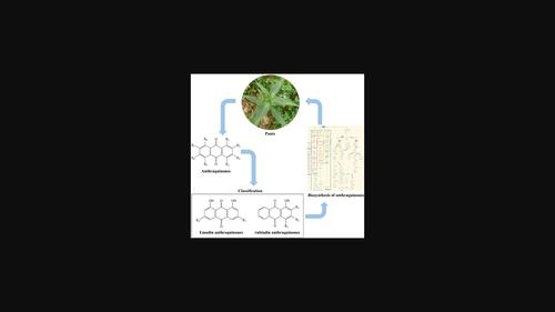 Plant anthraquinones: Classification, distribution, biosynthesis, and ...