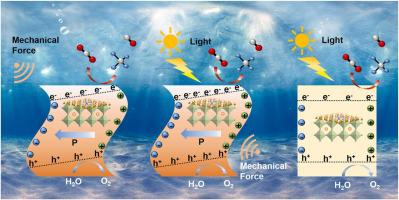 Understanding The Synergistic Mechanism Of Single Atom Co-modified ...