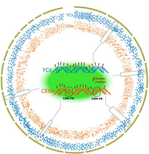 Frontiers Genetic Mapping Identifies Genomic Regions And Candidate