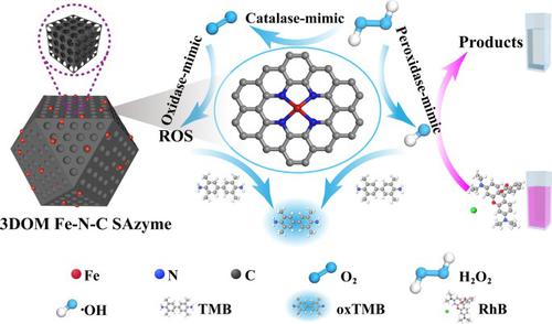 Atomically Dispersed Hierarchically Ordered Porous Fe-N-C Single-atom ...