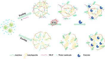 Effect Of Mulberry Leaf Polysaccharides On The Physicochemical ...