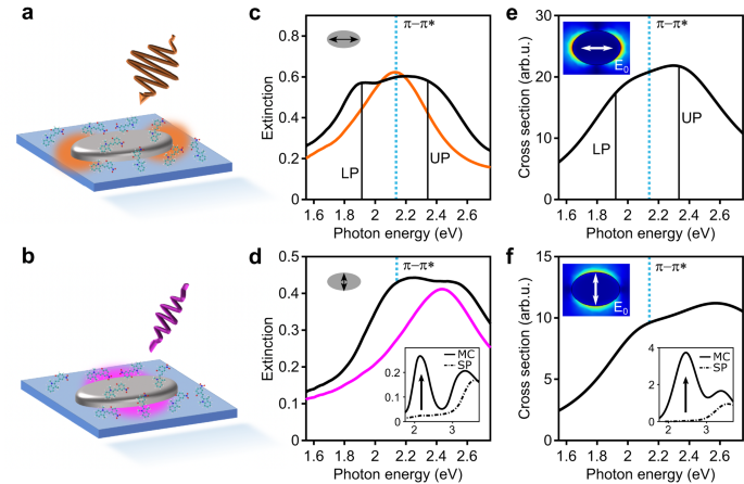 Sub-picosecond Collapse Of Molecular Polaritons To Pure Molecular ...