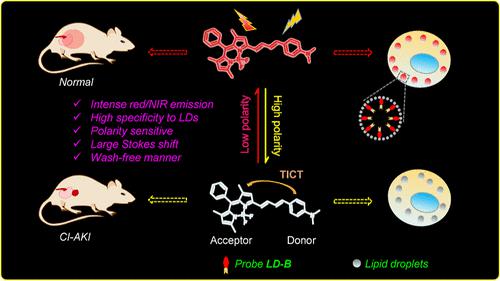 A Lipid Droplet-Specific NIR Fluorescent Probe With A Large Stokes ...