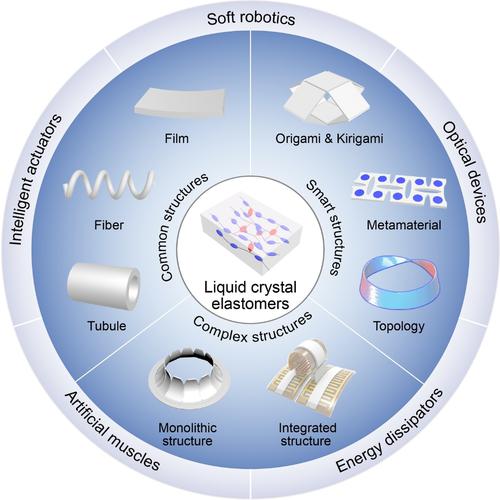 Structure-induced Intelligence Of Liquid Crystal Elastomers,Chemistry ...