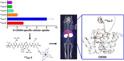 Development of a New Class of CXCR4-Targeting Radioligands Based