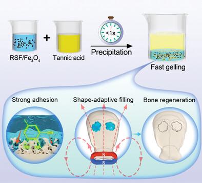 Precipitation-Based Silk Fibroin Fast Gelling, Highly Adhesive, And ...