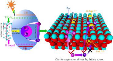 Mechanism Of High PEC Performance Of B-doped TiO2 Nanotube Arrays ...