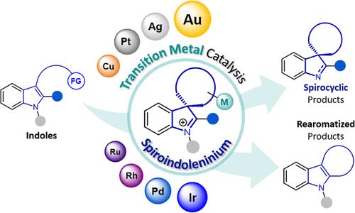 Spiroindoles as Intermediates/Products in Transition Metal-Catalyzed ...