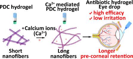 Amination-mediated nano eye-drops with enhanced corneal