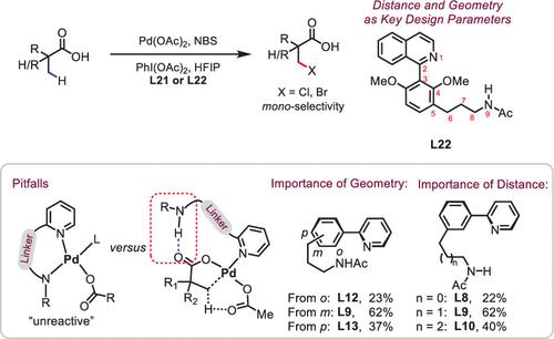 Enhancing Substrate–Metal Catalyst Affinity Via Hydrogen Bonding: Pd(II ...