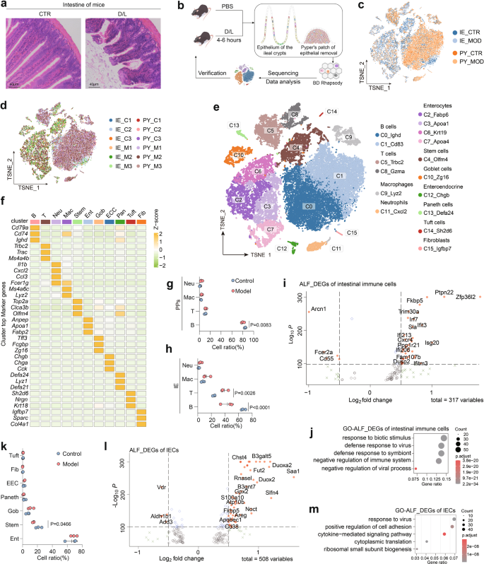 Single-cell Transcriptomics Reveals Intestinal Cell Heterogeneity And ...