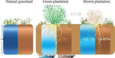 Beyond Shrub Dieback: Understory Plant Diversity, Soil Water And Soil ...