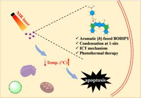 Development Of Functional Dye With Redshifted Absorption Based On ...