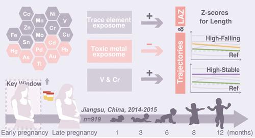 Maternal Exposure To Trace Elements, Toxic Metals, And Longitudinal ...