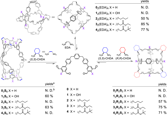 Stabilization of Dynamic Covalent Architectures by Multivalence