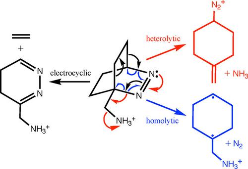 Noncovalent Modulation Of Chemoselectivity In The Gas Phase Leads To A Switchover In Reaction 3330