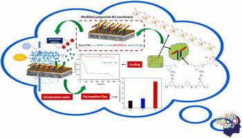 Synthesis Of A Novel Next-generation Positively Charged Polymer And Its ...