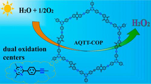 Anthraquinone Based Conjugated Organic Polymers Containing Dual