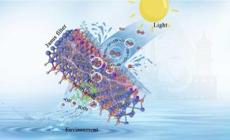 Janus Photoelectrocatalytic Filter For Sustainable Water ...