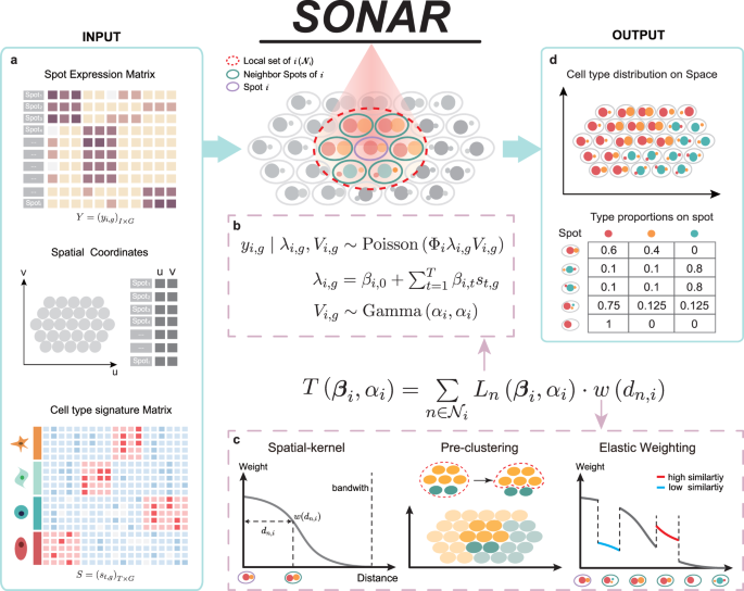 SONAR Enables Cell Type Deconvolution With Spatially Weighted Poisson ...