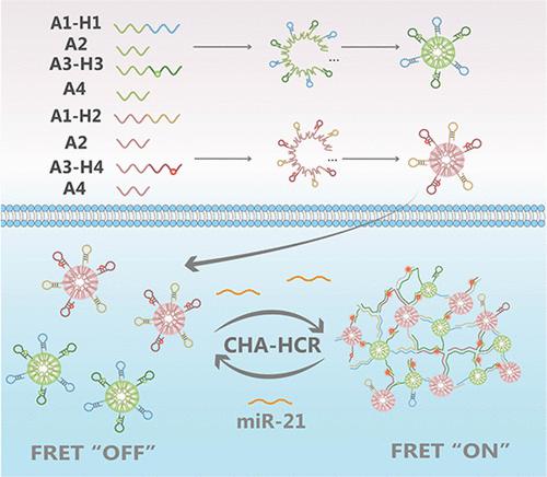 使用 Dna 纳米球的三维 Cha Hcr 系统对活细胞和组织中的 Mirna 进行灵敏快速的成像analytical Chemistry X Mol 4065