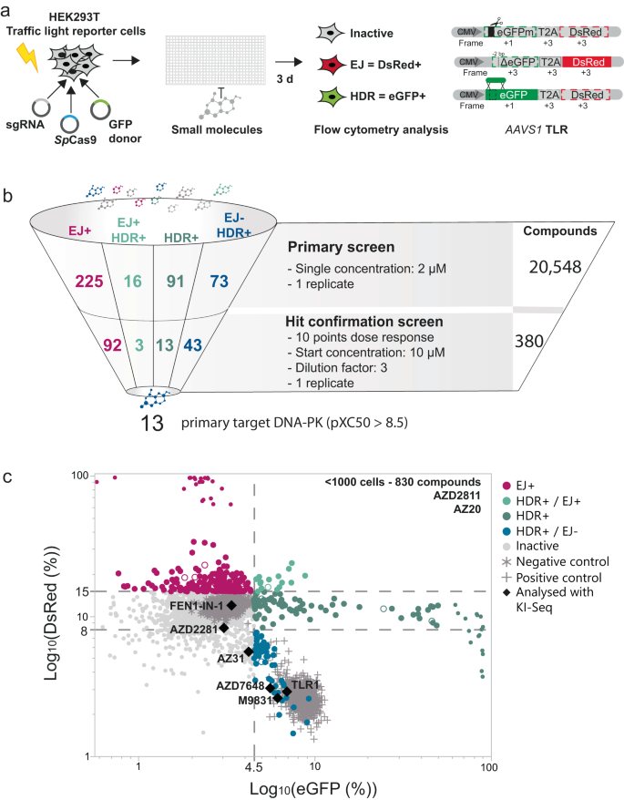 Simultaneous Inhibition Of DNA-PK And Polϴ Improves Integration ...