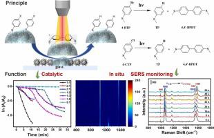 Dendritic Alloy Shell Au@AgPt Yolk Sensor With Excellent Dual SERS ...