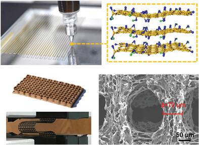 Ultraprecise 3D Printed Graphene Aerogel Microlattices On Tape For ...