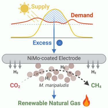 Microbial Electromethanogenesis Powered By Curtailed Renewable ...