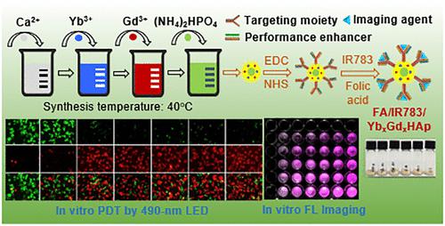 Yb Gd 共掺杂羟基磷灰石作为肿瘤靶向生物医学应用的潜在造影剂 Acs Biomaterials Science And Engineering X Mol