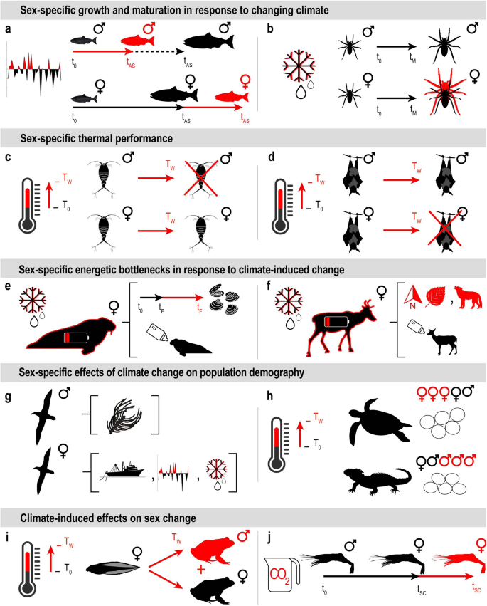 Exploring Climate Induced Sex Based Differences In Aquatic And Terrestrial Ecosystems To 3330